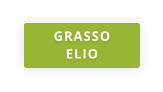 GRASSO ELIO